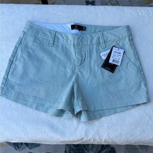Volcom Teal Shorts